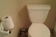 Οι Άρχοντες της τεμπελιάς (pics)