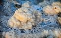 Εντυπωσιακοί σχηματισμοί αλάτων στη Νεκρά Θάλασσα - Φωτογραφία 2