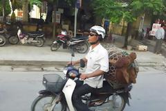 Το μοσχάρι στο παπί