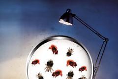 Κίνδυνοι μέσα στο ίδιο μας το σπίτι