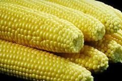 Δηλητήριο στο πιάτο μας! Η νέα έρευνα που εκθέτει τη Monsanto