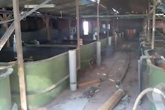 ΙΧΘΥΚΑ Μεσολογγίου  - Η ανάπτυξη εγκαταλείφθηκε