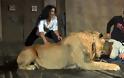 Λιοντάρι όρμηξε σε γυναίκα κατά τη διάρκεια φωτογράφισης [video]