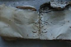 Στο φως ο θησαυρός που έκρυβε η στέγη της Μονής Βατοπεδίου