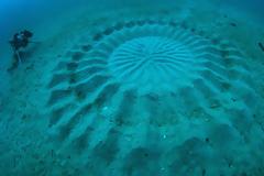 ΦΩΤΟ: Μυστηριώδη γεωμετρικά μοτίβα στο βυθό!