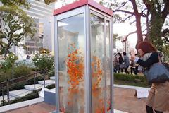 Δημιουργικές «γυάλες» για χρυσόψαρα στην πόλη!