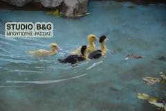 Ξαναζωντανεύει το πάρκο του ΟΣΕ στο Ναύπλιο