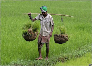 Σκλάβος επί 27 χρόνια για 40 κιλά ρύζι - Φωτογραφία 1