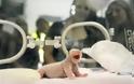 Δεν τα κατάφερε το μωρό πάντα του Εθνικού Ζωολογικού Κήπου της Ουάσινγκτον