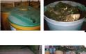 ΕΦΕΤ: Δέσμευση 339.559,26 κιλών προϊόντων τομάτας και αναστολή λειτουργίας της εγκατάστασης - Φωτογραφία 2