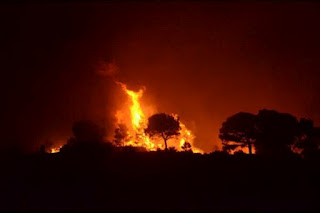 Υπό πλήρη έλεγχο τέθηκε η φωτιά στη Κρήτη - Φωτογραφία 1