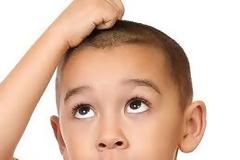 Ψείρες και κόνιδα. Τι είναι, πώς προλαμβάνονται και πώς αντιμετωπίζονται;