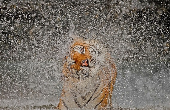 Πανέμορφες φωτογραφίες από το National Geographic - Φωτογραφία 2