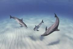 Πανέμορφες φωτογραφίες από το National Geographic