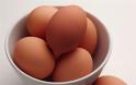«Ασπίδα» για το μωρό τα αβγά που τρώει η μητέρα