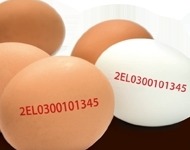 Τι να προσέχετε όταν αγοράζετε αυγά! - Φωτογραφία 2