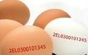 Τι να προσέχετε όταν αγοράζετε αυγά! - Φωτογραφία 2