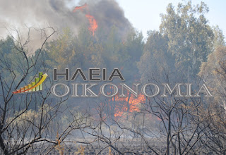 Νεότερα για την πυρκαγιά στο άλσος της Σπιάτζας - Φωτογραφία 1
