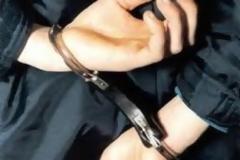 Έκαναν λαθρεμπόριο φυτοφαρμάκων από την Τουρκία – Επτά με χειροπέδες στην Αλεξανδρούπολη