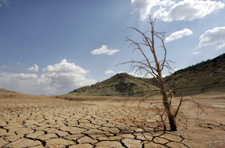 ΗΠΑ: Μείωση της ανάπτυξης λόγω της παρατεταμένη ξηρασίας - Φωτογραφία 1