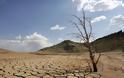 ΗΠΑ: Μείωση της ανάπτυξης λόγω της παρατεταμένη ξηρασίας