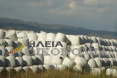 Επείγουσα προκαταρκτική εξέταση σχετικά με την διαχείριση των απορριμμάτων από το Δήμο Πύργου, για να διερευνηθεί η τέλεση αυτεπαγγέλτως διωκομένων αξιοποίνων πράξεων