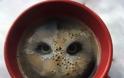ΔΕΙΤΕ: Καλλιτέχνης σχημάτισε κουκουβάγια στο καϊμάκι του καφέ! - Φωτογραφία 1
