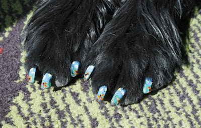 Οι τελευταίες τάσεις της μόδας στα νύχια… των σκύλων! - Φωτογραφία 2