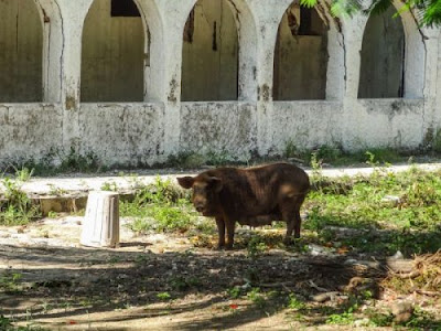 Τα νησιά των βαρόνων της κοκαΐνης! - Φωτογραφία 24