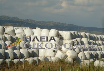 Απελπιστική η κατάσταση με τα σκουπίδια στην πόλη του Πύργου - Φωτογραφία 2