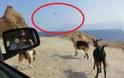 ΦΩΤΟ: Γερμανοί ισχυρίζονται ότι φωτογράφησαν… UFO στην Κρήτη!