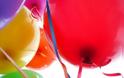 Γιατί τα μπαλόνια με ήλιο δεν είναι καλά