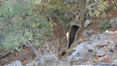 Ορεινή Κύμη: Κρυφή Παναγιά - Φωτογραφία 6