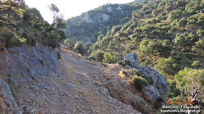 Ορεινή Κύμη: Κρυφή Παναγιά - Φωτογραφία 7