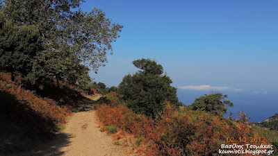 Ορεινή Κύμη: Κρυφή Παναγιά - Φωτογραφία 9