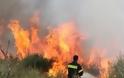 ΒΟΛΟΣ: Φωτιά κοντά στο αεροδρόμιο της Νέας Αγχιάλου