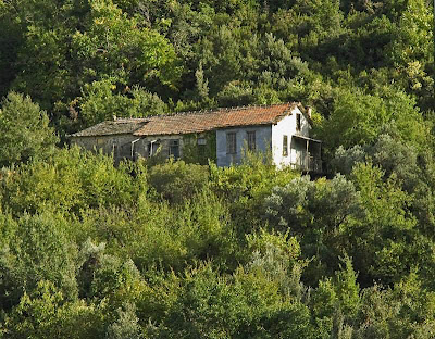 1984 – Ιερά Σκήτη Τιμίου Προδρόμου (Ι.Μονής Ιβήρων) - Φωτογραφία 2