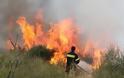 Φθιώτιδα: Τρέχουν και δεν φτάνουν οι πυροσβέστες-Φωτιές από αγροτικές εργασίες