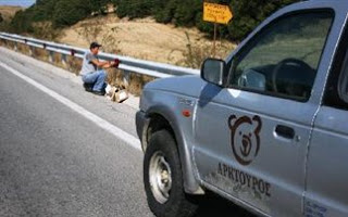 Ανακλαστήρες που σώζουν τις αρκούδες και τους λύκους - Φωτογραφία 1