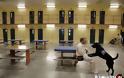 Δείτε εικόνες από τη ζωή σε μια Αμερικάνικη φυλακή (pics) - Φωτογραφία 12
