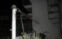 Ερμούπολη: Μπαράζ εμπρηστικών επιθέσεων όλο το βράδυ της Τρίτης! - Φωτογραφία 3