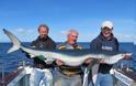 Έπιασε το μεγαλύτερο μπλε καρχαρία στη Μ. Βρετανία