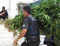 Απότακτος αστυνομικός καλλιεργούσε χασίς στο σπίτι του - Φωτογραφία 1