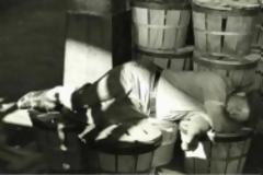 5 πράγματα που δεν ξέρουμε για τον ύπνο