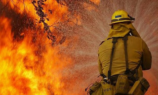 Πυρκαγιά καίει δάσος στην Αμαλιάδα - Φωτογραφία 1