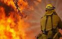 Πυρκαγιά καίει δάσος στην Αμαλιάδα