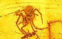 ΑΠΙΣΤΕΥΤΟ: Επιστήμονες βρήκαν σε κεχριμπάρι το αρχαιότερο έντομο - Φωτογραφία 2