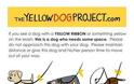 Τι σημαίνει η κίτρινη κορδέλα στο λουρί του σκύλου;