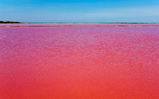 Μία κατακόκκινη λίμνη στη νότια Γαλλία - Φωτογραφία 1