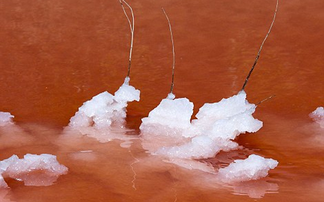 Μία κατακόκκινη λίμνη στη νότια Γαλλία - Φωτογραφία 4